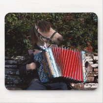 The accordian player mousepad