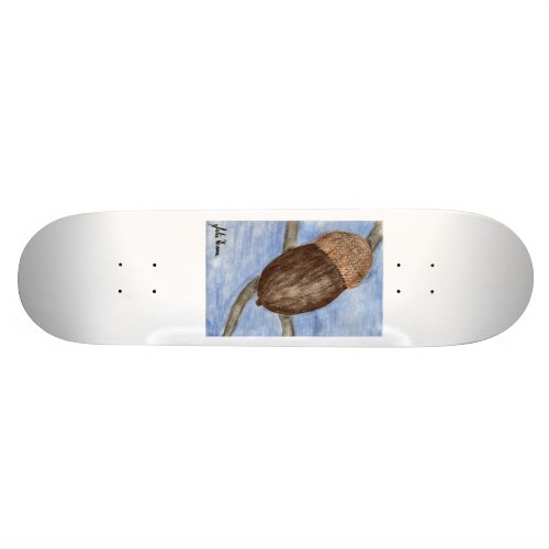 The Acorn Skateboard skateboard