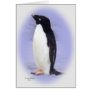 The Ade'lie Penguin Card