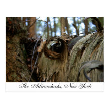 The Adirondacks, New York Postcards