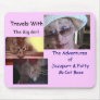The Adventures of Jazzpurr & Fatty Mouse Pad
