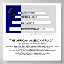 THE AFRICAN AMERICAN FLAG- DETAILED POSTER