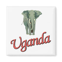 The African Elephant Magnets