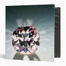 The Agra Diamond 3 Ring Binder