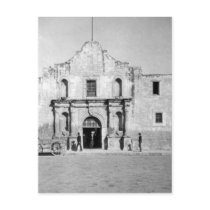 The Alamo in San Antonio, TX  1 Post Cards