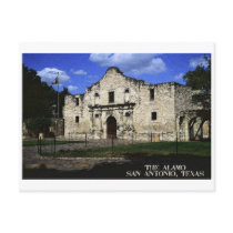 The Alamo Postcard