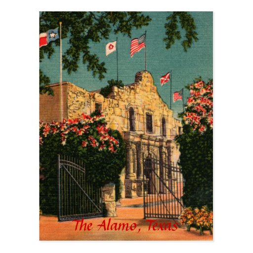 vintage alamo postacrds barbara dare vintage porn