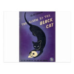 The Alarm of The Cat Post Card