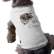 The Alchemy of Filmmaking Pet Tshirt