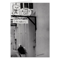 The Alley Cat cards