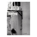 The Alley Cat posters