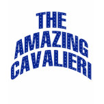 the escapist, the amazing adventures of kavalier,