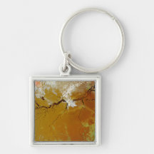 The Amazon Rainforest Keychains