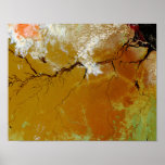 The Amazon Rainforest Print