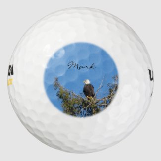 The American Bald Eagle set of 3 Golf Balls Pack Of Golf Balls