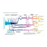 justice system, criminal justice, flowchart,