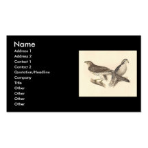 The American Goshawk	(Astur atricapillus) Business Card Template