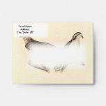 The American Goshawk (Astur atricapillus) Envelopes
