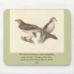 The American Goshawk (Astur atricapillus) Mouse Pads