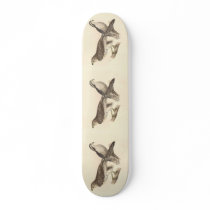The American Goshawk (Astur atricapillus) Skate Decks