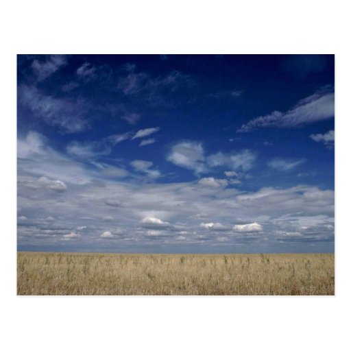 The American Prairies Postcards