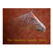 The American Quarter Horse Postcard
