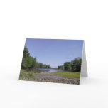 The American River Sacramento,CA Cards