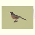 The American Robin	(Merula migratoria) cards