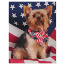 The American Yorkie letterhead