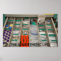 THE ANAESHETIC LIFE - poster