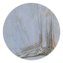 The anatomy of a bears foot stickers by LeonardoDaVinci The anatomy of a bears foot stickers