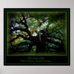 The Angel Oak Poster