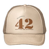 The Answer to Everything cap hats