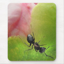 The Ant and the Peony Mousepad