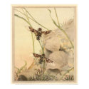THE ANTHRAX FLY - Insect Book Illustration posters