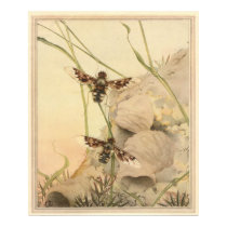 THE ANTHRAX FLY - Insect Book Illustration posters by ZephyrusBooks THE ANTHRAX FLY - Insect Book Illustration posters