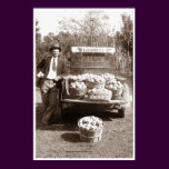 The Apple Grower