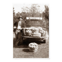 The Apple Grower posters