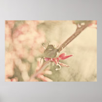 The apple in paradise poster