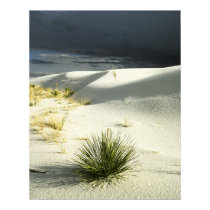 The Approaching Storm posters by gust_front The Approaching Storm posters