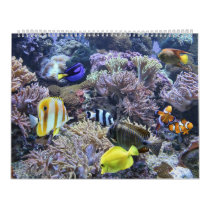 The Aquarium Calendar
