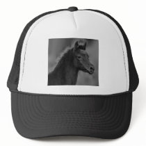The Arabian Filly Mesh Hat