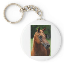 The Arabian mare Keychains