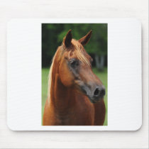 The Arabian mare Mousepad
