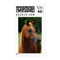 The Arabian mare Stamps