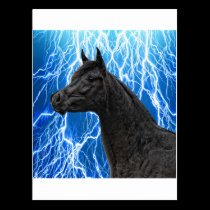 The Arabian Stallion postcards
