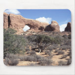 The Arches The Arches