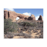 The Arches National Park USA Post Card