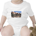 The Arches National Park USA Tshirts
