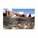 The Arches National Park USA Tee Shirt